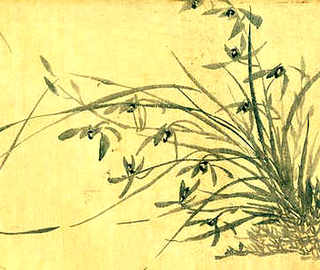 淡水螺养殖方法，淡水螺养殖