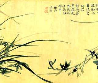 夏季如何混养蟹虾，蟹虾混养需要注意什么