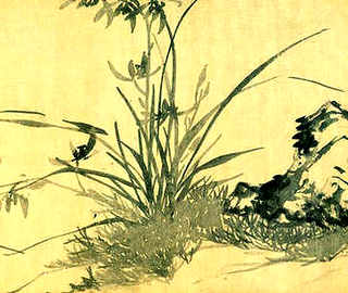 黄鳝养殖注意哪些事项和细节，暂养黄鳝日常该怎样管理及黄鳝该如何催肥